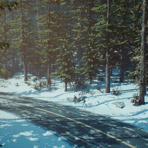 Life is Strange 2 Complete Season Cd Key Steam GLOBAL